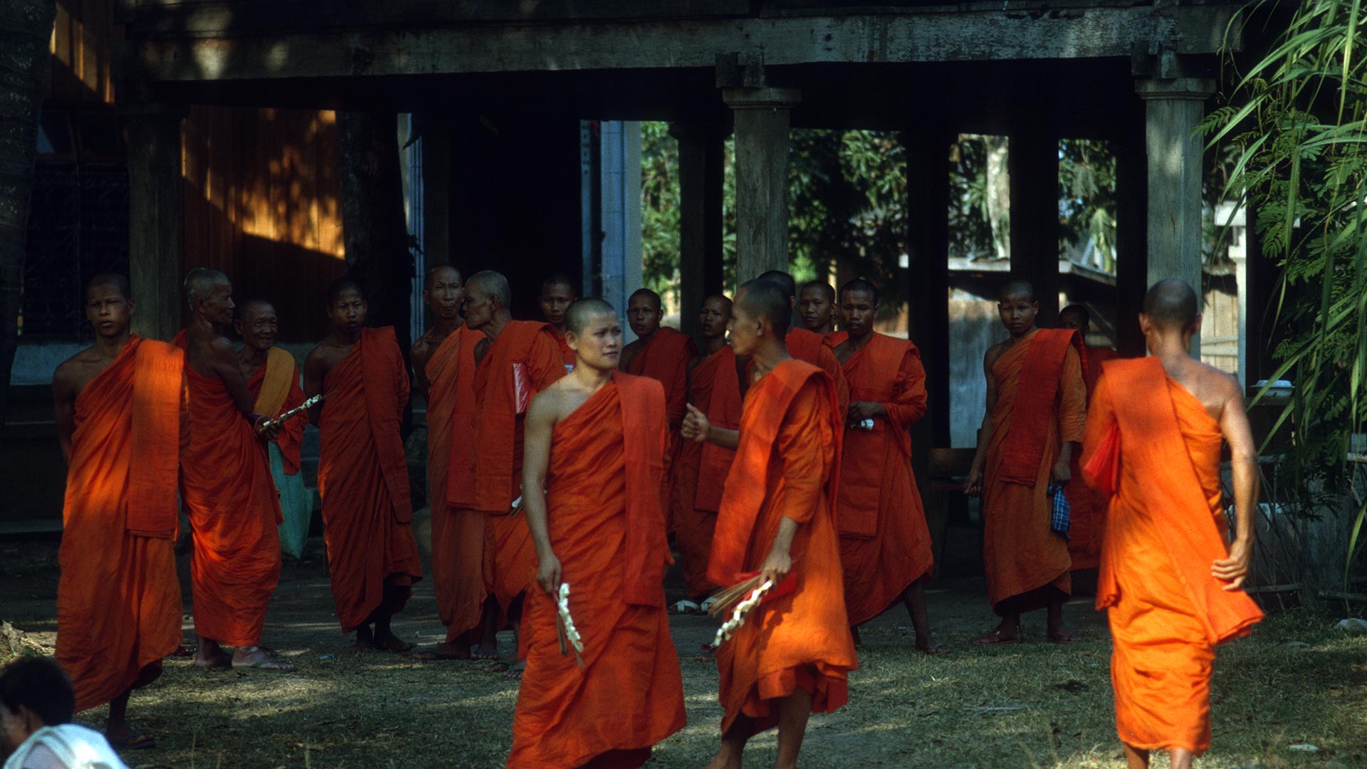 group of monks dressed in orange robes standing outside